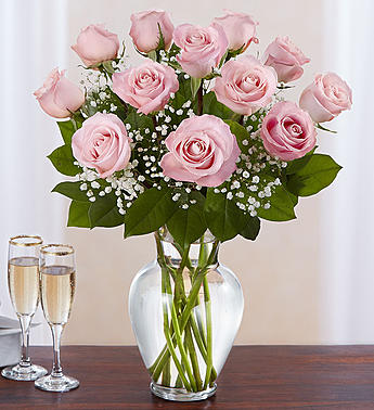 dz pink roses